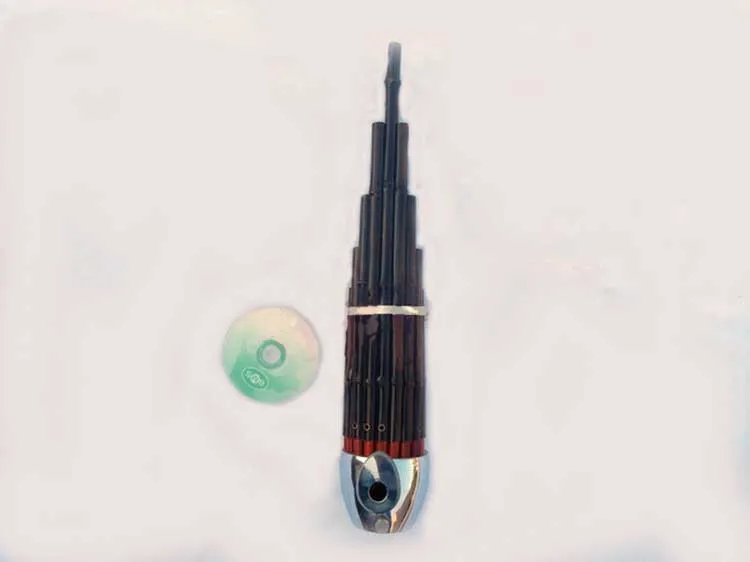 Новое поступление 2016 распродажа ротовой орган Gaita блюз гармоника Jingyi 17 весенний