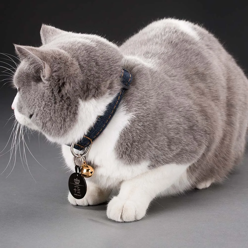 Бесплатная гравировка текста на передней задней стороне из нержавеющей стали Pet