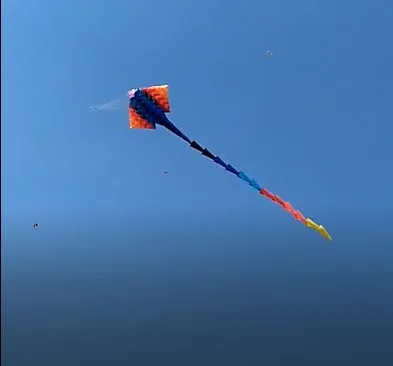 Brinquedos, мягкие, веселые, Заводские, vlieger cerf volant cometas pipa voadora, воздушные змеи для взрослых, воздушный змей, летающий, ветровка, ripstop koi fish, игрушки