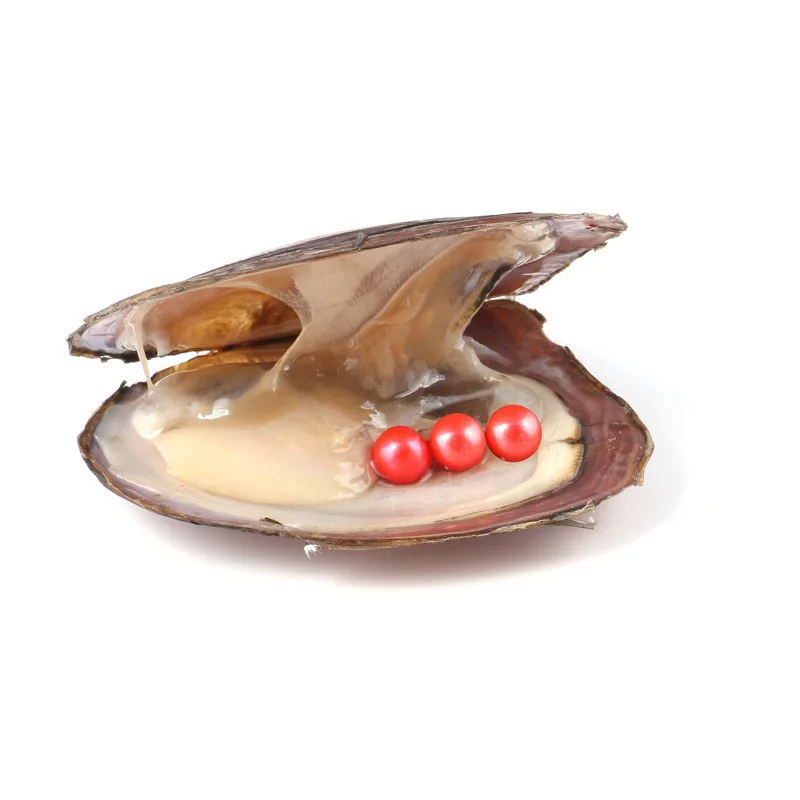 1 шт случайный цвет пресноводный жемчуг Oysters Triplets Жемчуг культивированный с 6 5-7 5
