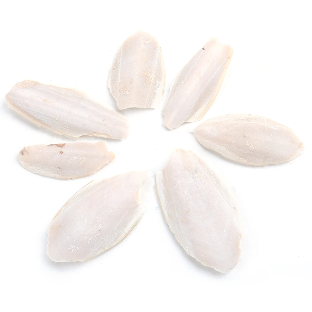 Pets Feeding Chewing Supplies Cuttle Fish Cuttlefish Bone For Budgie Birds Reptiles Tortoise Food | Дом и сад