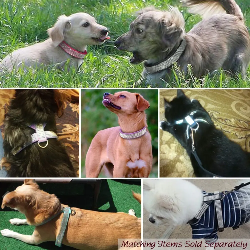 Pet Rhinestone Dog& шлейка для кошек-стекаются с бриллиантами шипованные-Маленькие Средние Домашние животные PH006