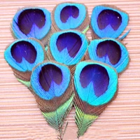 50pcslot beautiful shinly blue peacock eye feathers peacock feather eyes freeshipping