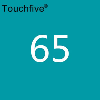 65 TOUCHFIVE опционально цвет соответствия искусство маркеры Кисть ручка эскиз на спиртовой основе маркеры двойная головка манга ручки для рисования товары для рукоделия - Цвет: 65