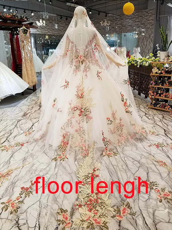 as picture LS746641 цветной цвет шампанского вечернее платье для сексуальных девушек с длинными рукавами с короткими рукавами с длинными рукавами - Цвет: as picture
