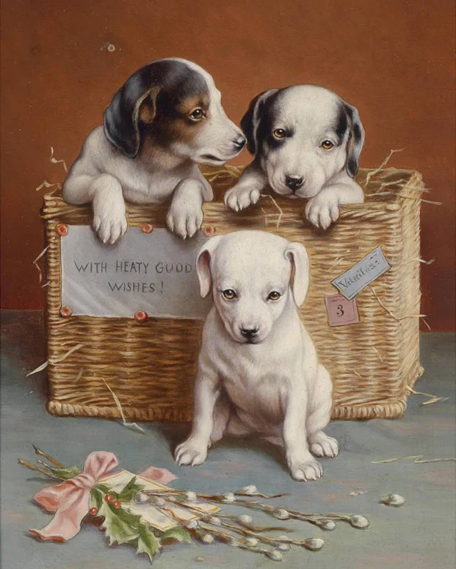 5D DIY Diamond Painting &quotanimal cute dogs&quot Of Rhinestones Full circular Embroidery Home Decor | Дом и сад