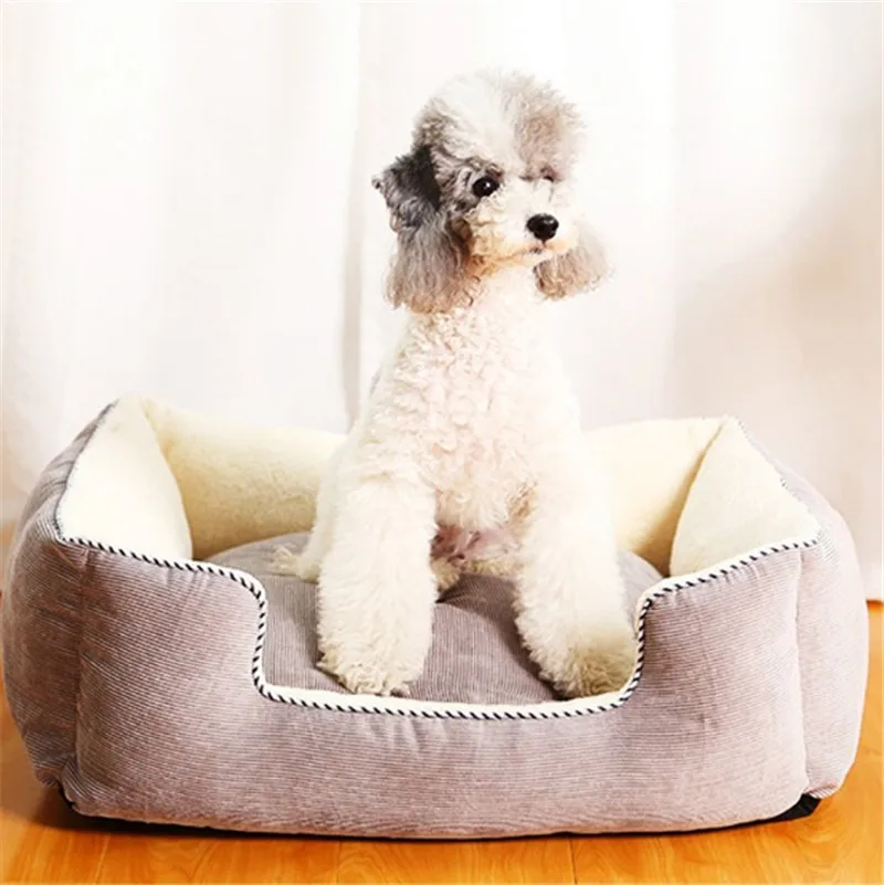 

Pet Products