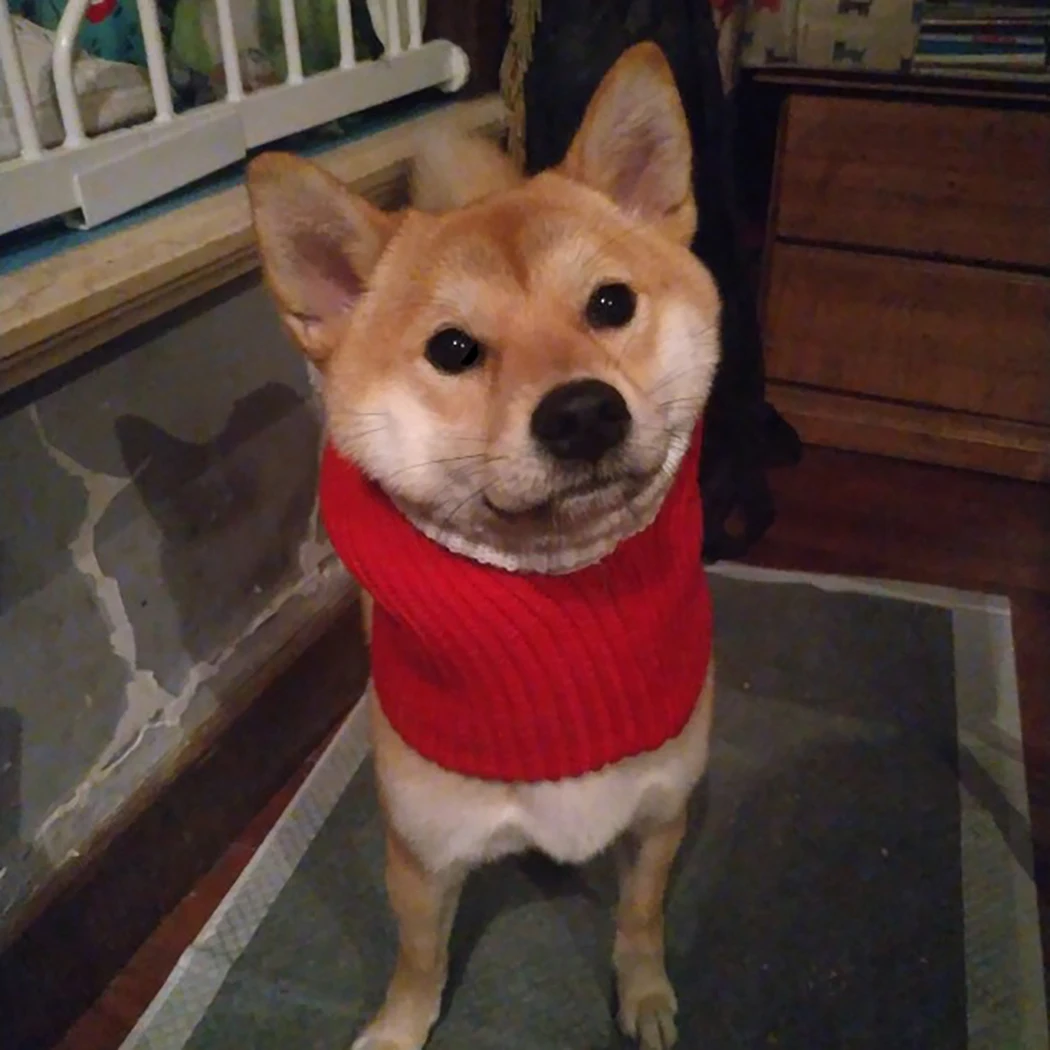 Knitted Pet Hat Warm Comfortable Lovely Dog Hats For Pets Cats Winter Warm Knitting Dog Cap Dog Beanie For Puppies Kittens