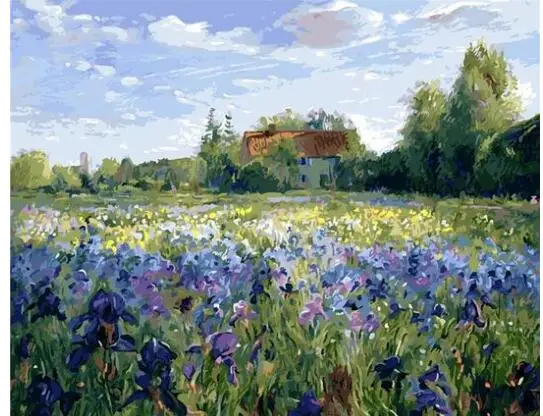 Набор для рисования по номерам сделай сам взрослых цвет Восточный вечер на поле