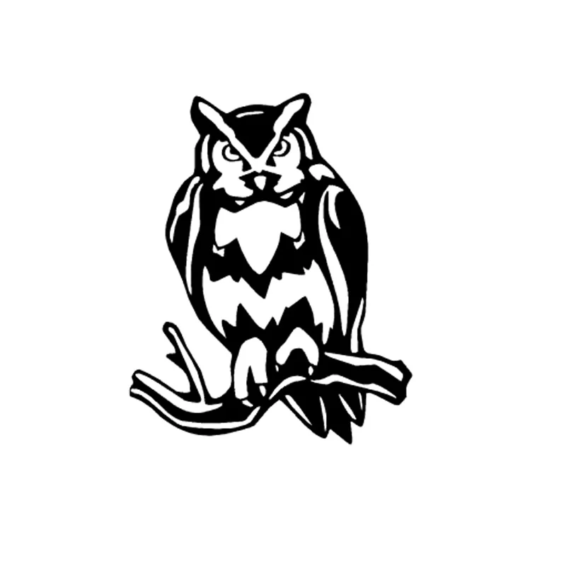 13 см * 16 1 Сова Птица ночь животное виниловая фотография Черный/Серебряный - купить