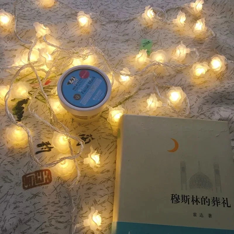 220В, 3м, 20LED, розы, цветы, сказочные гирлянды для рождества, Pario, домашний декор, свадебные, вечерние, гирлянды, украшение на стену