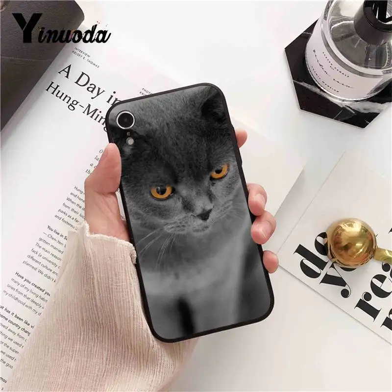 Yinuoda Британский короткошерстный чехол для iPhone 8 7 6 6S 6Plus X XS MAX 5 5S SE XR Fundas Capa 11 pro max |