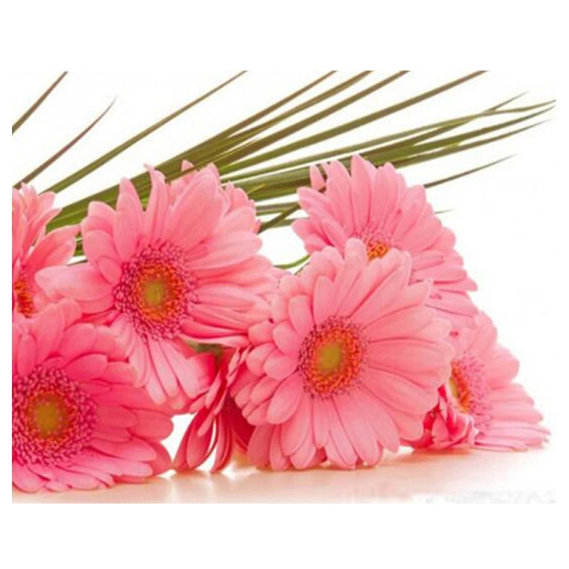 

5D DIY Diamond Painting Flower Full resin diamond Rhinestone Mosaic Wall Decor Diamond Embroidery Cross-stitch Kits Craft Gift