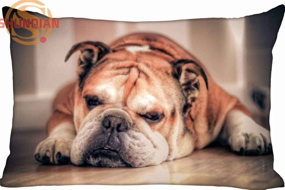 

Hot Nice Bulldog Rectangle Pillowcase zipper Wedding Custom Pillow Case For Bedroom A3.27#129