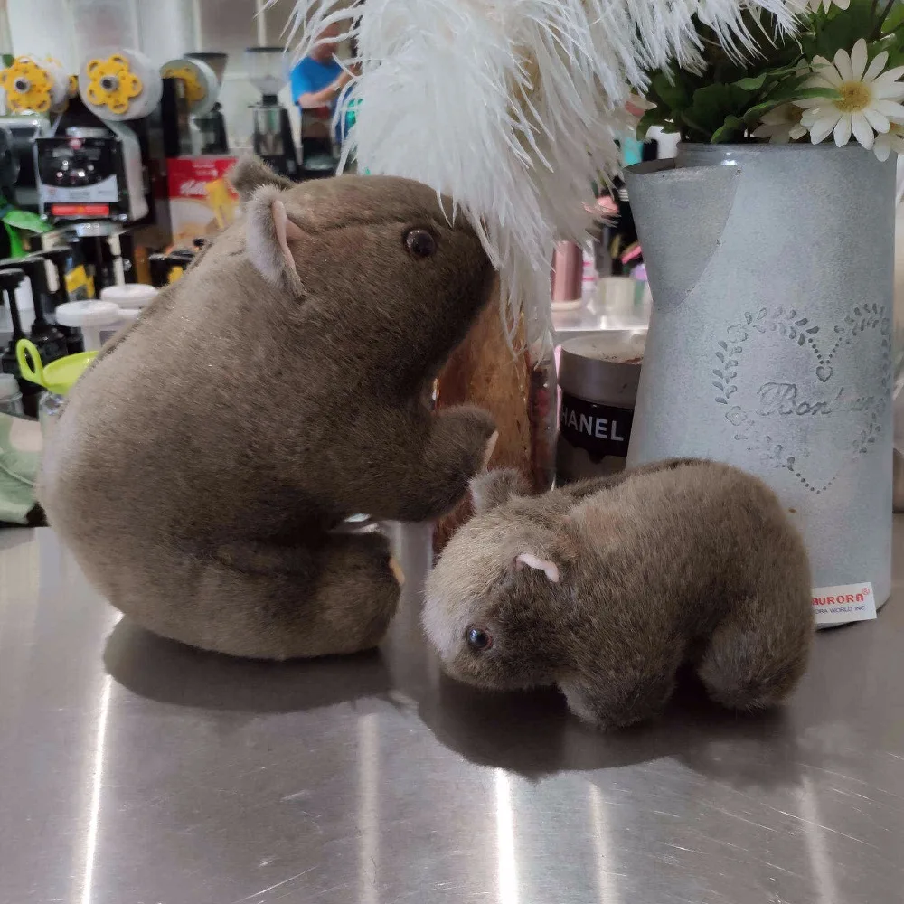 1 шт. 18 см Моделирование Плюшевые вомбат свинки Cavia Porcellus игрушка чучело дикие