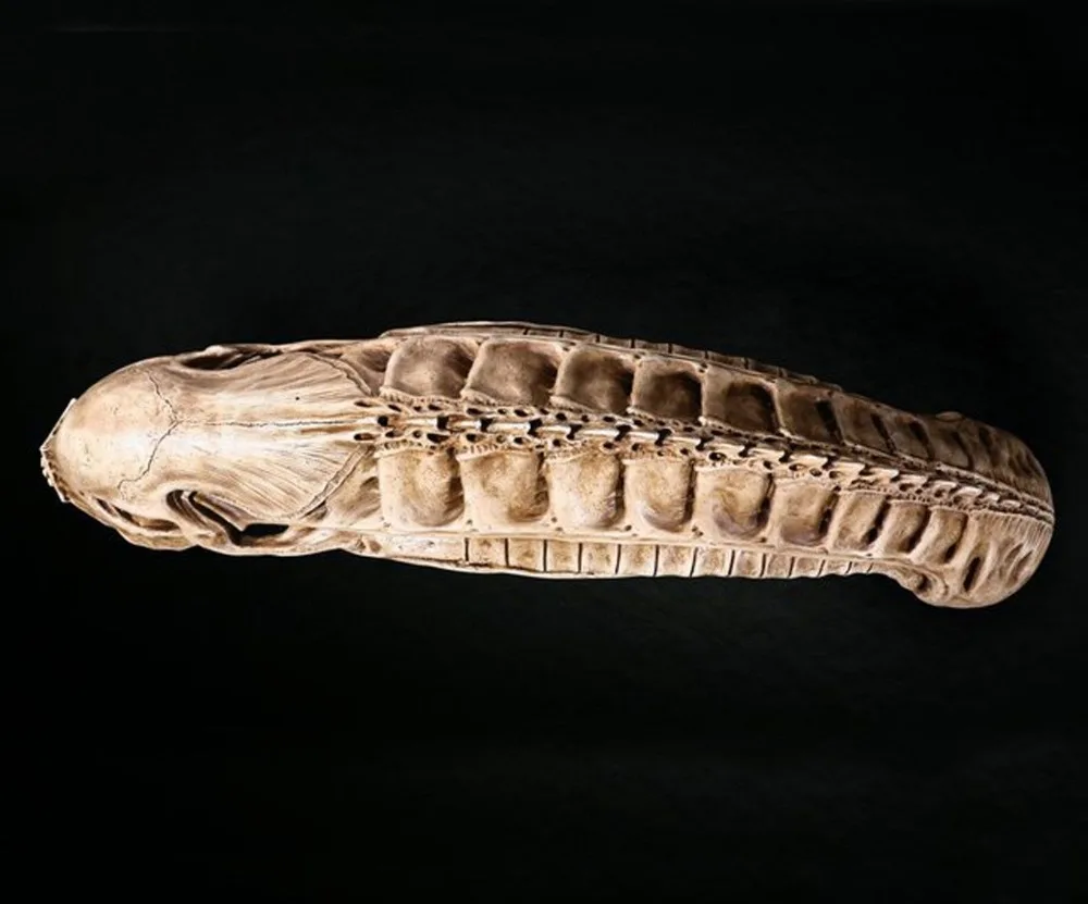 70 см Xenomorph Чужой Череп модель Хэллоуин украшения модель скелета Гигер's чуждо модель