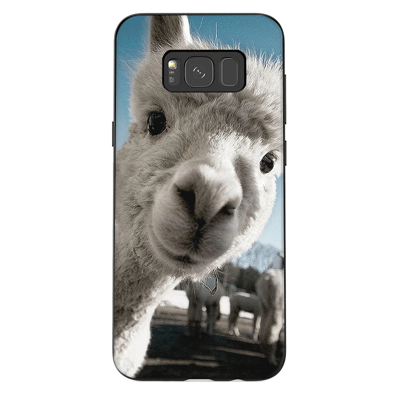 Чехол для телефона из мягкого ТПУ Samsung M10 M20 M30 M40 S6 S7 Edge S8 S9 S10 S10E Plus Note 8 9 10 милая