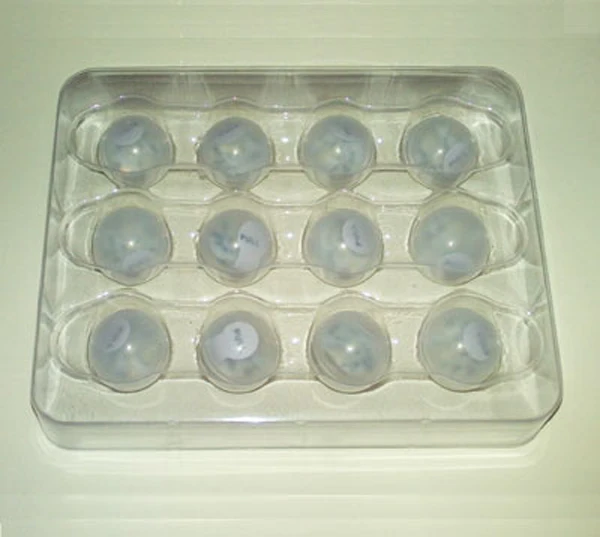 

12PCS White Color Battery Operated Mini LED Berry Wedding Decoration Fairy Lights Mini Party Lights