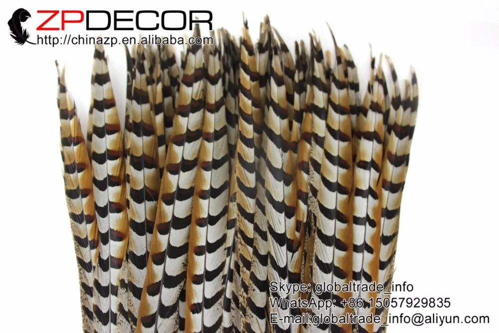 Zpdecoration 50 шт./лот 60-70 см (24-28 дюймов) Высокое качество натуральные перья из хвоста