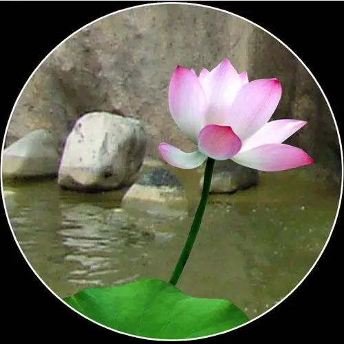 3D настенная роспись природный пейзаж бумага бамбуковый лес водопад постельные