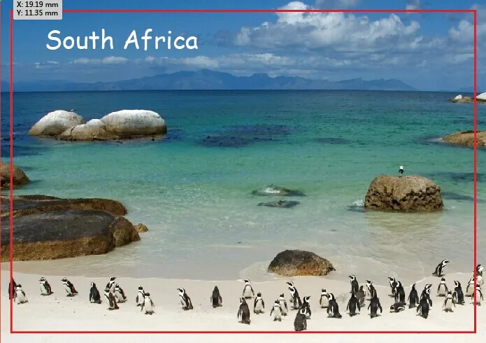 

Tourist souvenir Refrigerator Magnets memories,Penguins on Boulder Beach, South Africa Tourist Rigid Magnets 20583