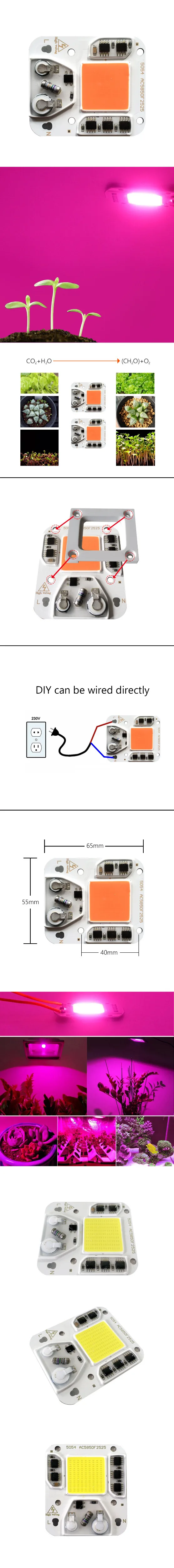 30 Вт 50 Вт 100 Вт светодиодный COB чип переменного тока 110 В 220 в 230 В Smart IC DIY светодиодный светильник с бусинами для Светодиодный прожектор Точечный светильник теплый белый холодный белый светильник для выращивания