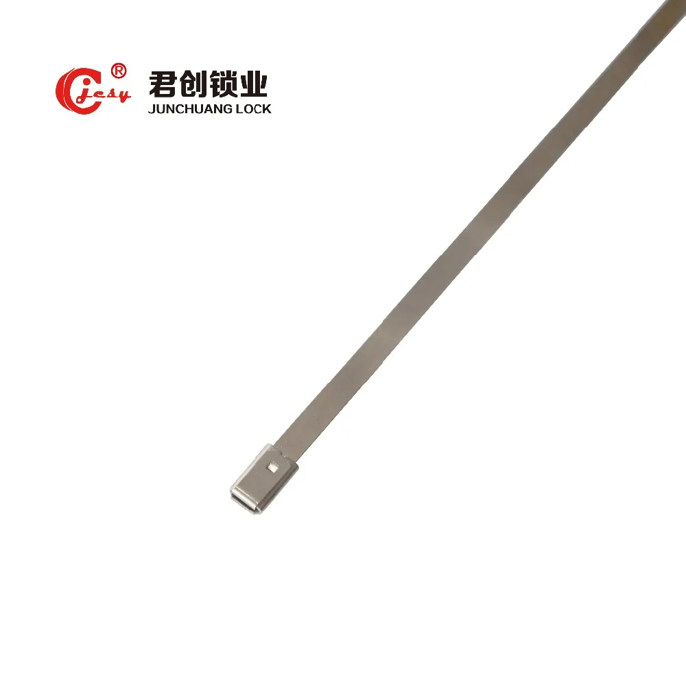 Прочность высокую прочность регулируемый ремешок уплотнения JCSS-005 | Обустройство