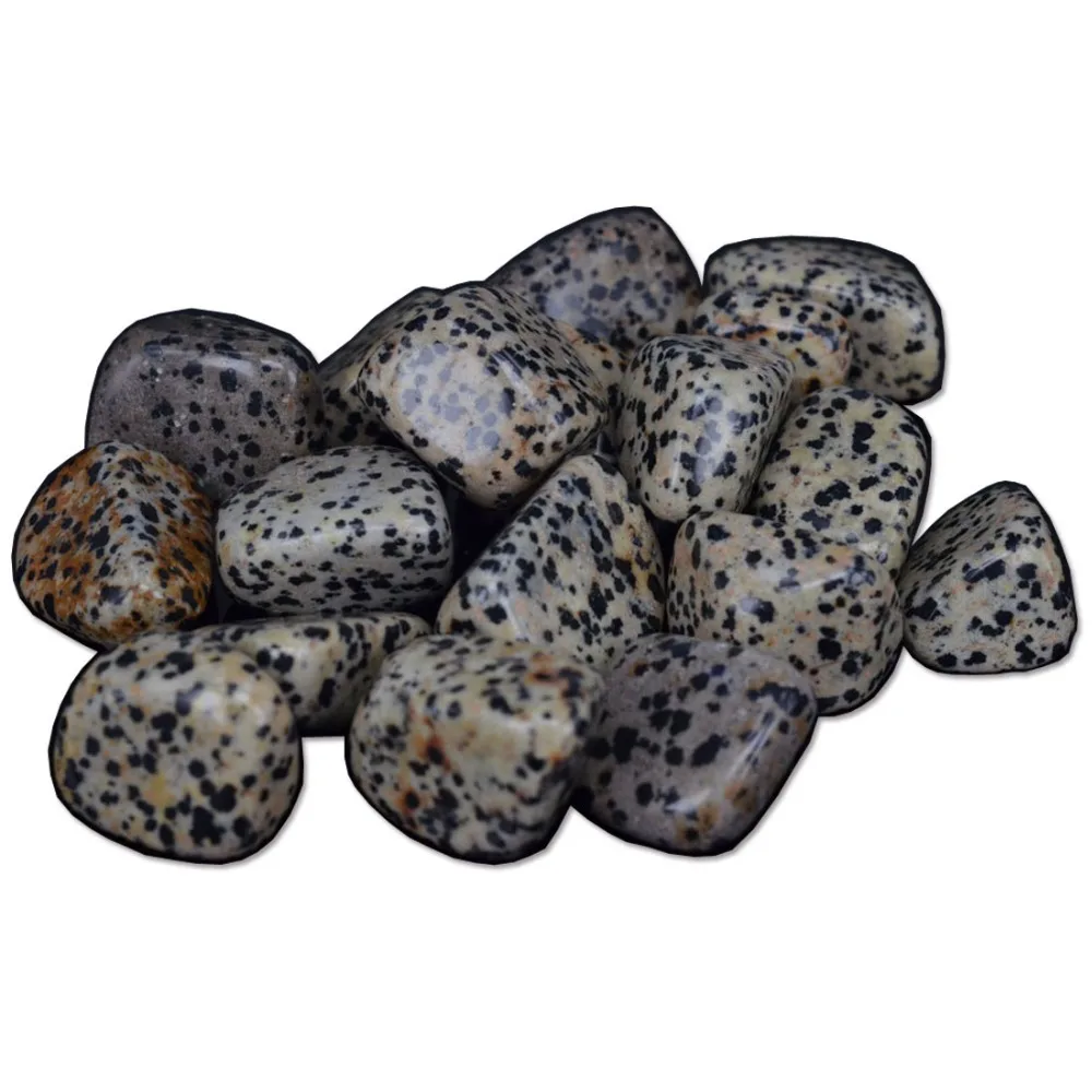 

200Gram Natural Gemstone Dalmation Jasper Crystal Bulk Tumbled Stone Chakra Reiki Healing Minerals