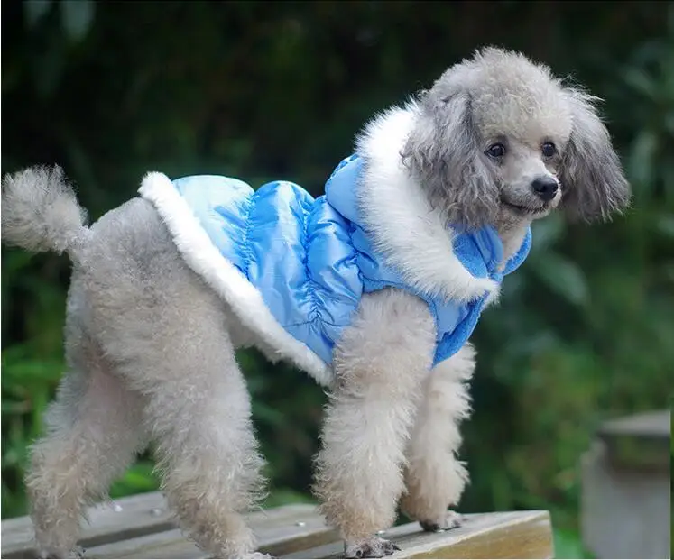 Новый стиль pet куртка в стиле милых собачек зимняя теплая для собак Одежда