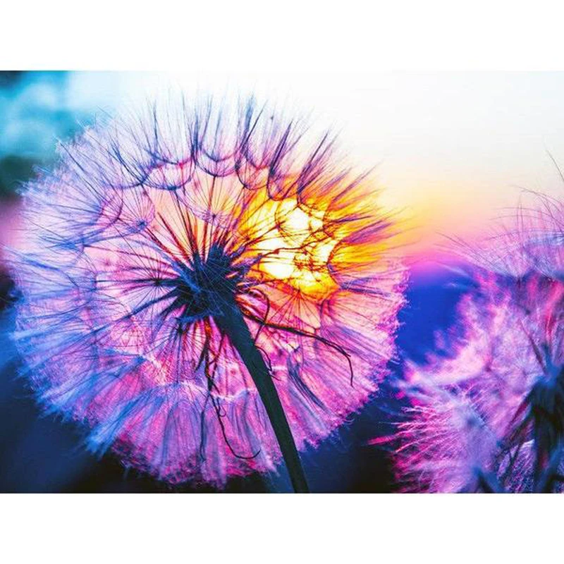 Рукоделие 5d Сделай Сам Алмазная краска Одуванчик с бриллиантом полная круглая