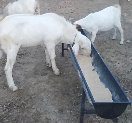 sheep Feed Trough Корыто для кормления овец на ферме, 1 м, корыто для кормушки овец, коз, кормушка для питья, чаша для питья овец, Коза ягнёнок, теленка - Цвет: sheep Feed Trough
