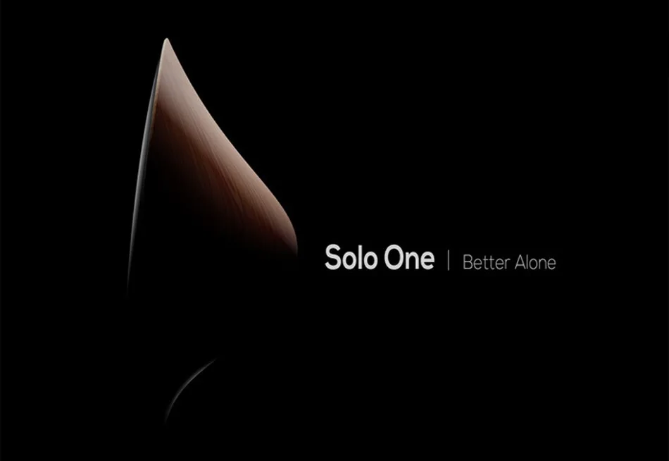Деревянный портативный беспроводной динамик сабвуфер Solo One Bluetooth NFC полный диапазон 2,0 каналов сенсорная поверхность AUX домашний аудио для телефона