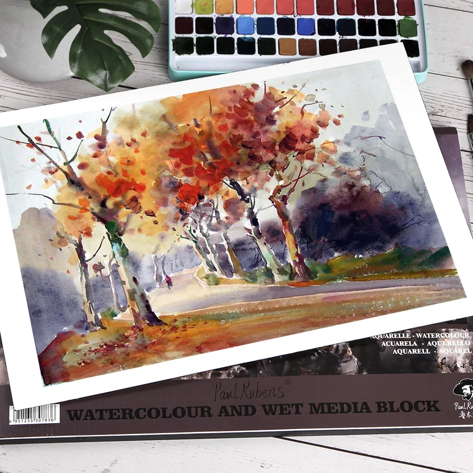 Paul Rubens 300GSM акварельный бумажный блок 50% хлопок тряпичный художественный качественный кислотный свободный холодный прессованный бумажный коврик