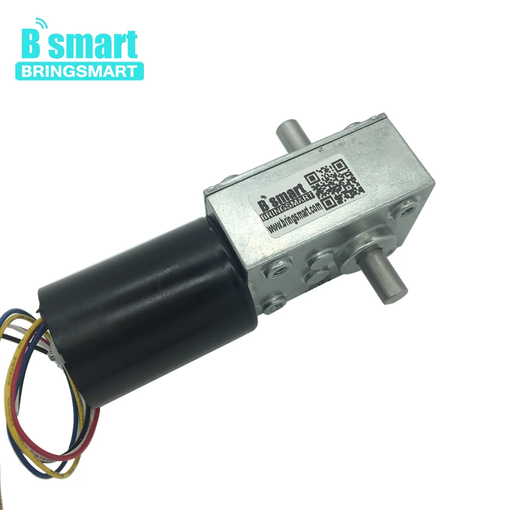Bringsmart 5840 3650 бесщеточный двойной вал 12В 24В DC турбо червячный редуктор мини