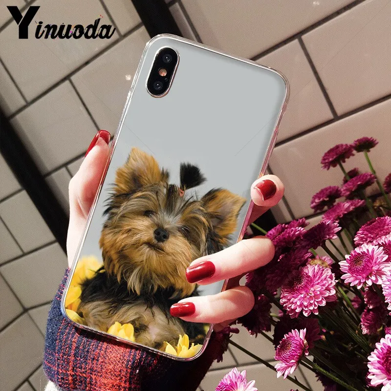 Умный чехол Yinuoda йоркширского терьера для iPhone 8 7 6 6S Plus 5 5S SE XR X XS MAX|Чехлы-накладки| |