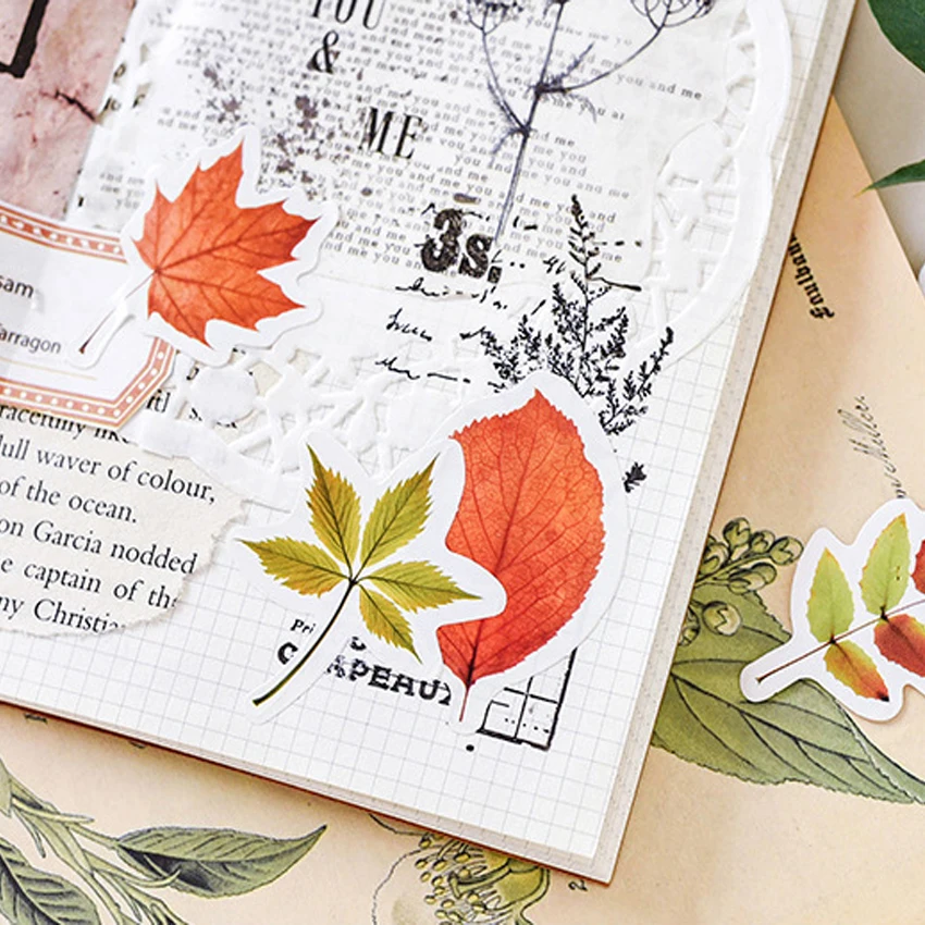 20 упаковок/партия набор натуральных листьев канцелярские принадлежности