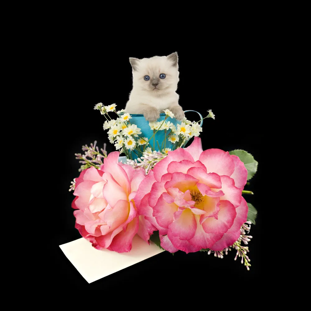 Одеяло с мультяшным котом Королевский набор черный пододеяльник хлопковое 3d