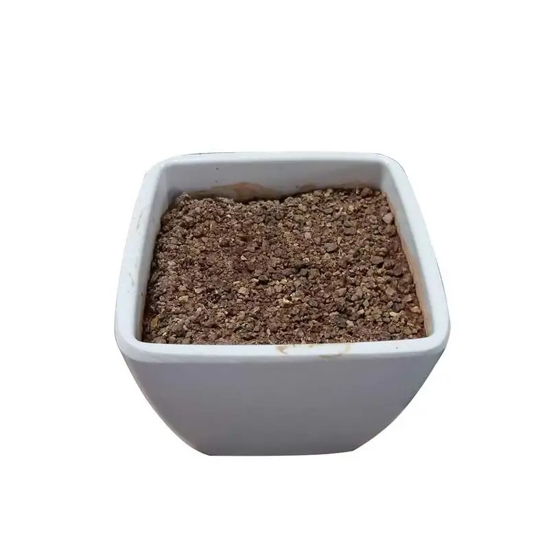 White bottom basin DIY креативный имитация зеленого растения трехушастый кактус суккулент горшочек без горшка Настольный свадебный Декор подарок - Цвет: White bottom basin