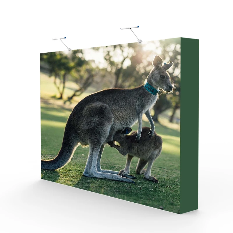 Прямой 10 футов Натяжной тканевый выставочный всплывающий фон стенд | Дом и сад