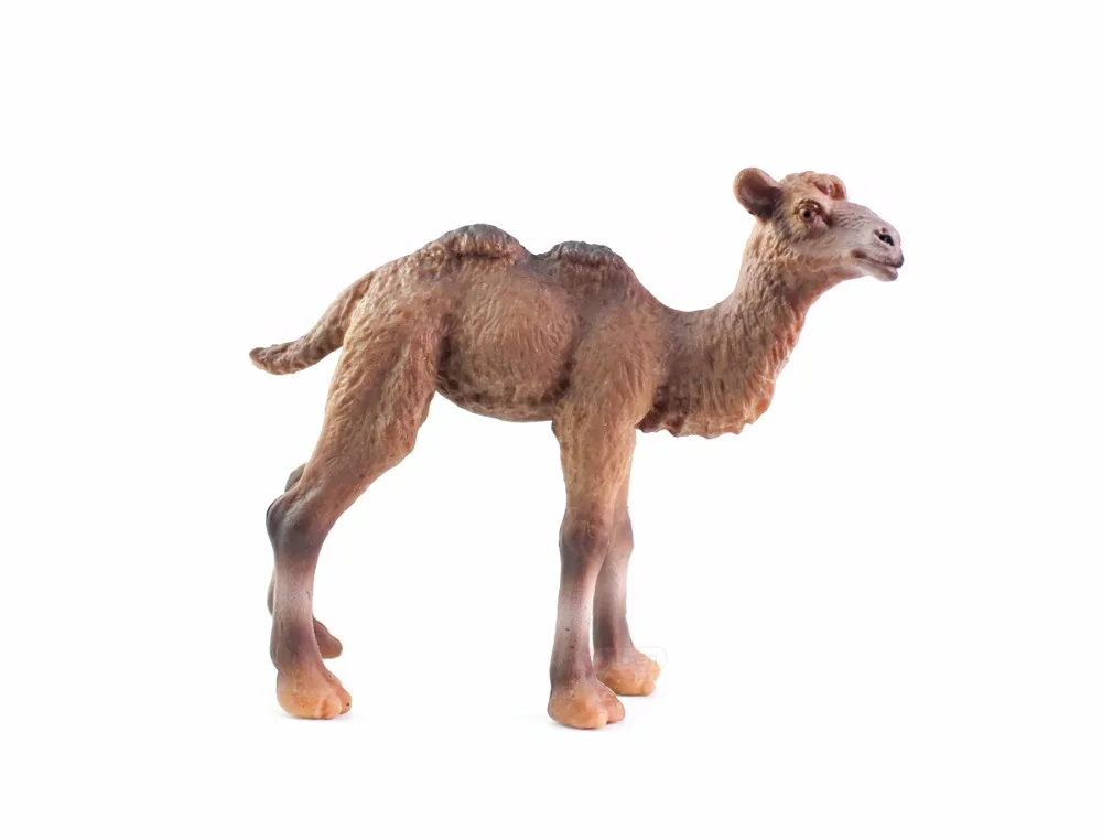 Wiben Camel сафари дикое сафари дикая природа дромедари Модель Коллекция для детей Детские игрушки Подарки на день рождения