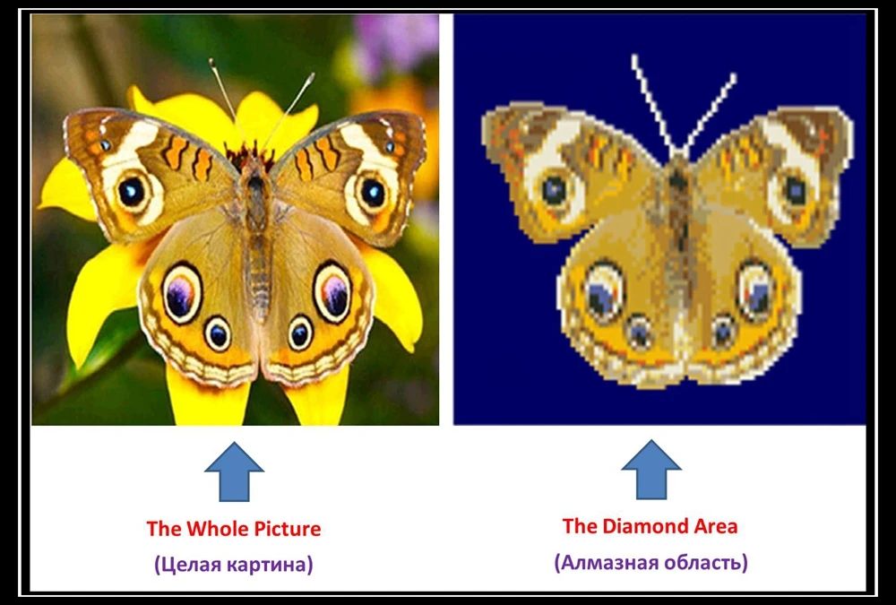 5d diy Алмазная Картина Бабочка Мозаика картина вышивка Стразы Вышивка крестом