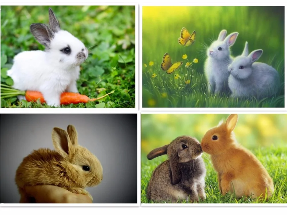 Новый 5D круглый бриллиант картина Алмазная мозаика ремесел настенные наклейки