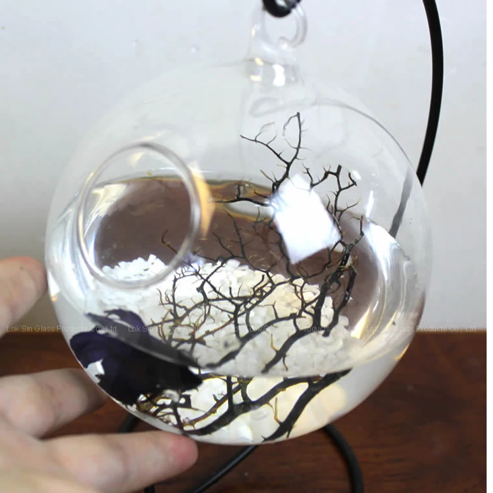 Behogar прозрачные круглые Форма висит стекло аквариума для рыб аквариуме цветочных