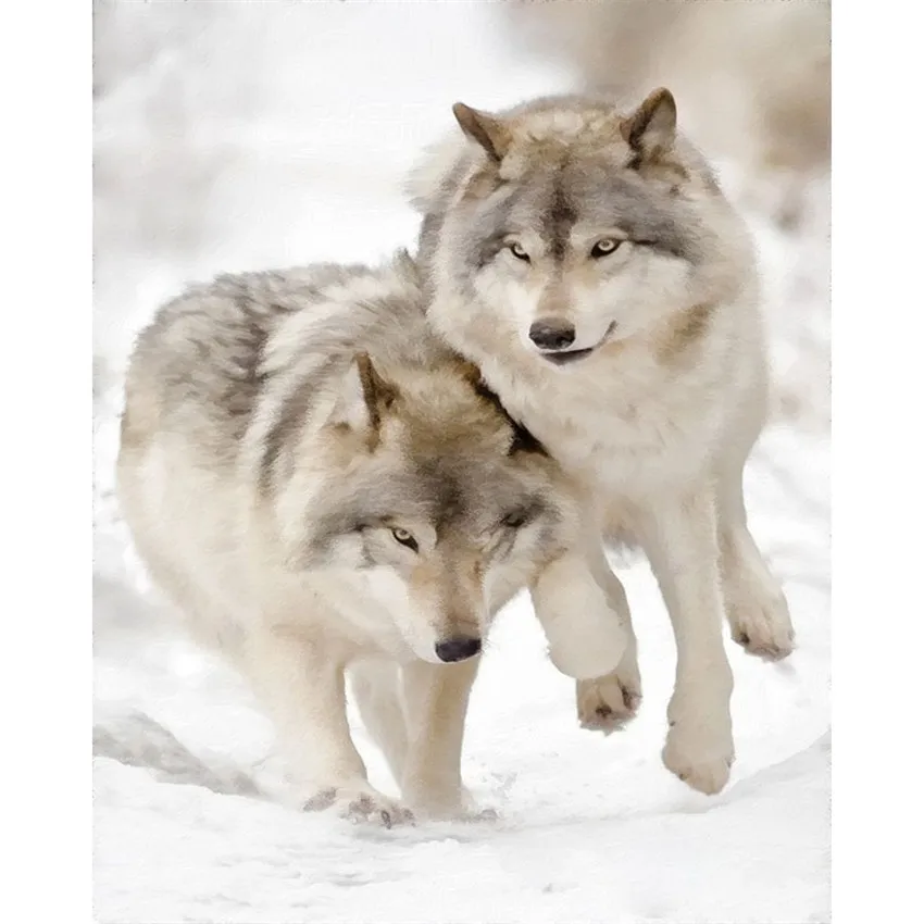 DIY Digital Painting By Numbers Package Small Wolf pups oil painting mural Kits Coloring Wall Art Picture Gift frameless | Дом и сад