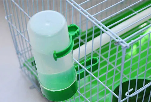 Поилка для птиц поилка кормушка с зажимом птичьи пионы бесплатная