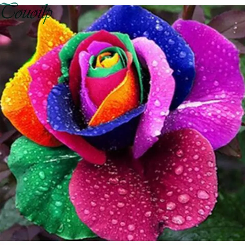 Набор для алмазной живописи радужные цветы-сделай сам-3 | Дом и сад