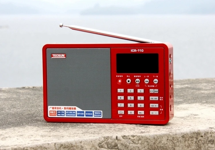 Tecsun ICR-110 ICR110 AM FM радио портативный динамик диктофон WAV WMV Mp3 TF цифровой аудио плеер