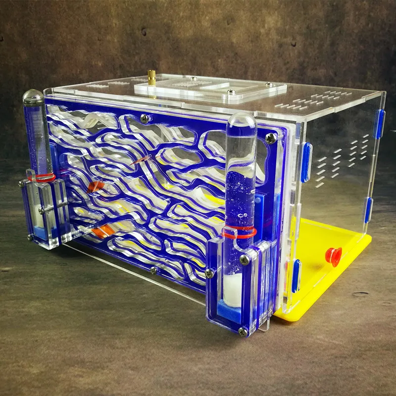 Большая муравьиная гнездо D2 с зоной для кормления двойная водяная башня ферма