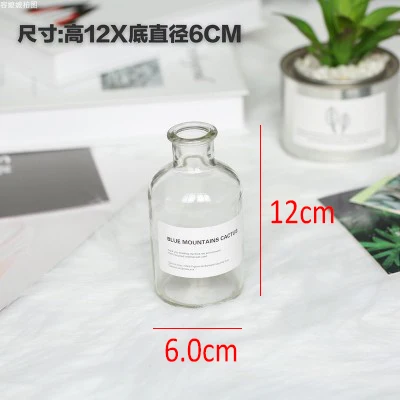 12x6cm Скандинавский стиль ретро прозрачная коричневая стеклянная бутылка спальня ваза Настольная Фотография аксессуары Студия фото фон Ornamen - Цвет: 12x6cm