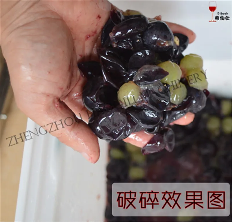 Горячая Распродажа машина для удаления фруктов измельчитель винограда и